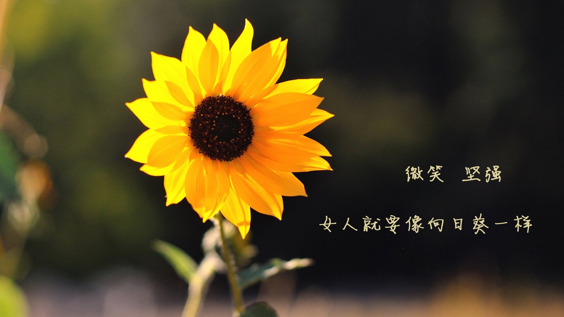 九游-_奇才队士气高昂，战斗精神不减_，奇才队原来叫什么