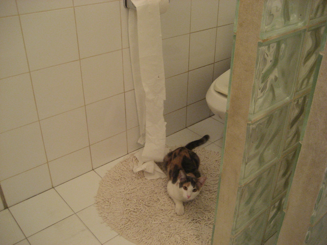 九游游戏中心官网-_穿越沙丘的多地越野赛：勇士的荒野之旅_，越野车穿越沙漠视频