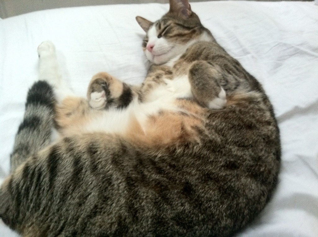 JiuyouAPP下载-_青年未来之星：U18青少年网球锦标赛精彩纷呈_，青少年网球冠军