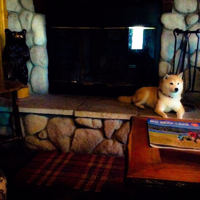 未来战场：智能化裁判、虚拟评论与赛场实时互动引领变革，智能裁判系统