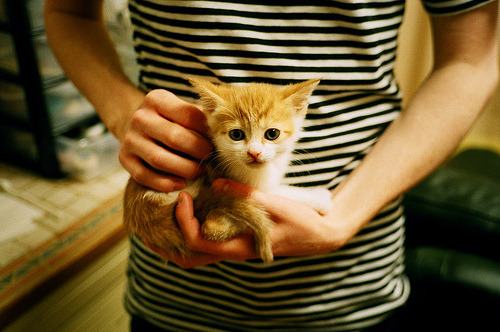 JIUYOU GAMING-英超激烈对决，精彩进球、战术调整引发热议，英超经典对决