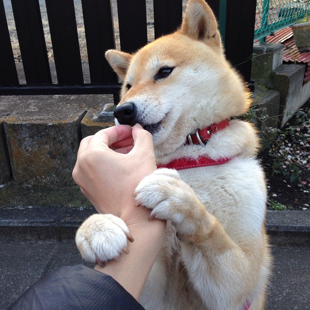 JIU YOU GAME-迷你世界“创意大赛”环球创想激烈进行中，迷你世界创意玩法