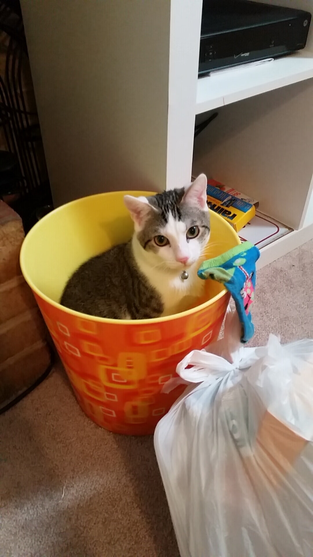 九游jiuyou-AC米兰球员皮亚尼奇在联赛中展现出色发挥，皮亚尼奇助攻c罗贴地斩