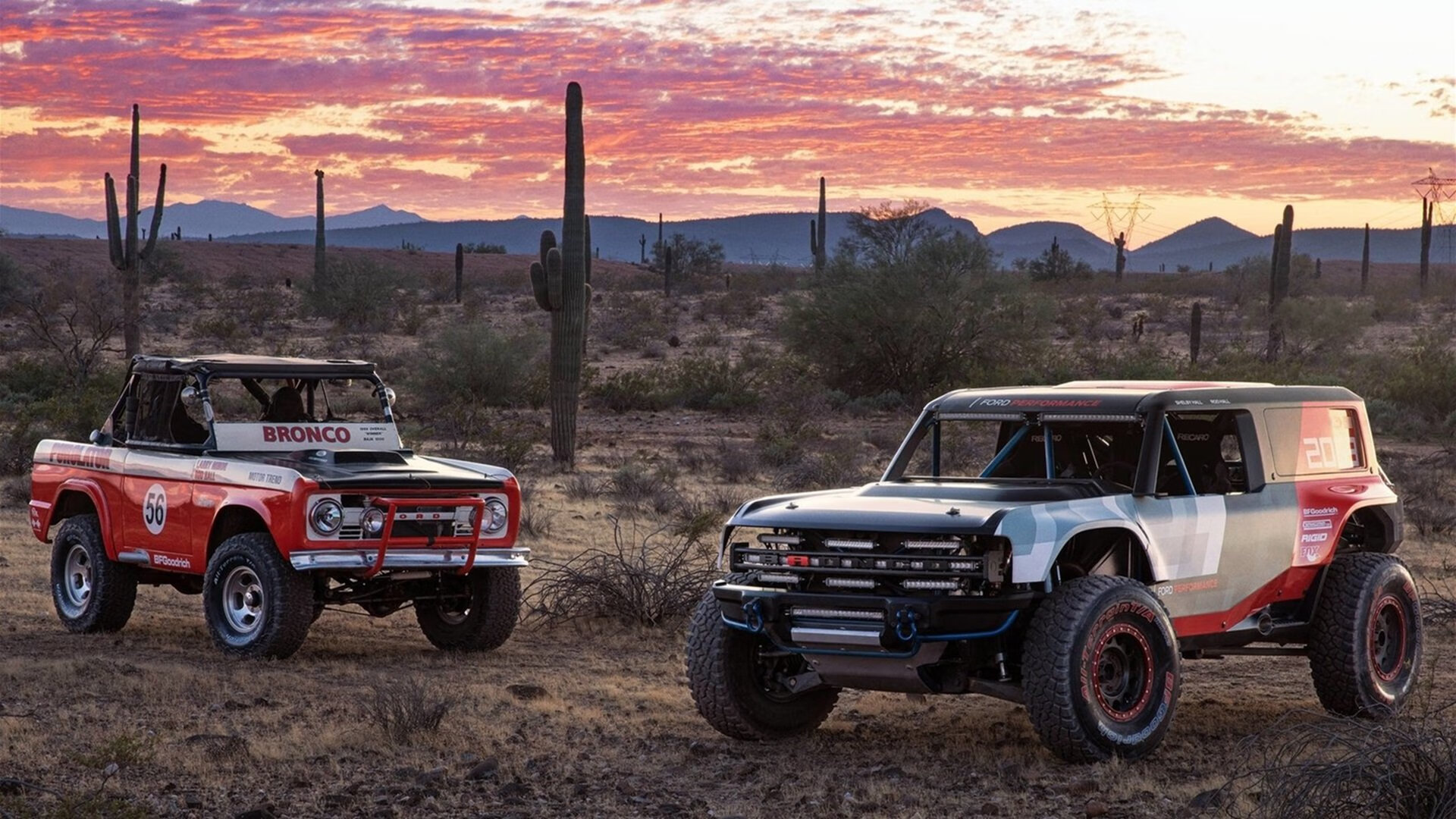布莱顿中场组织出色,海鸥军团有望挺进前十,布莱顿海湾