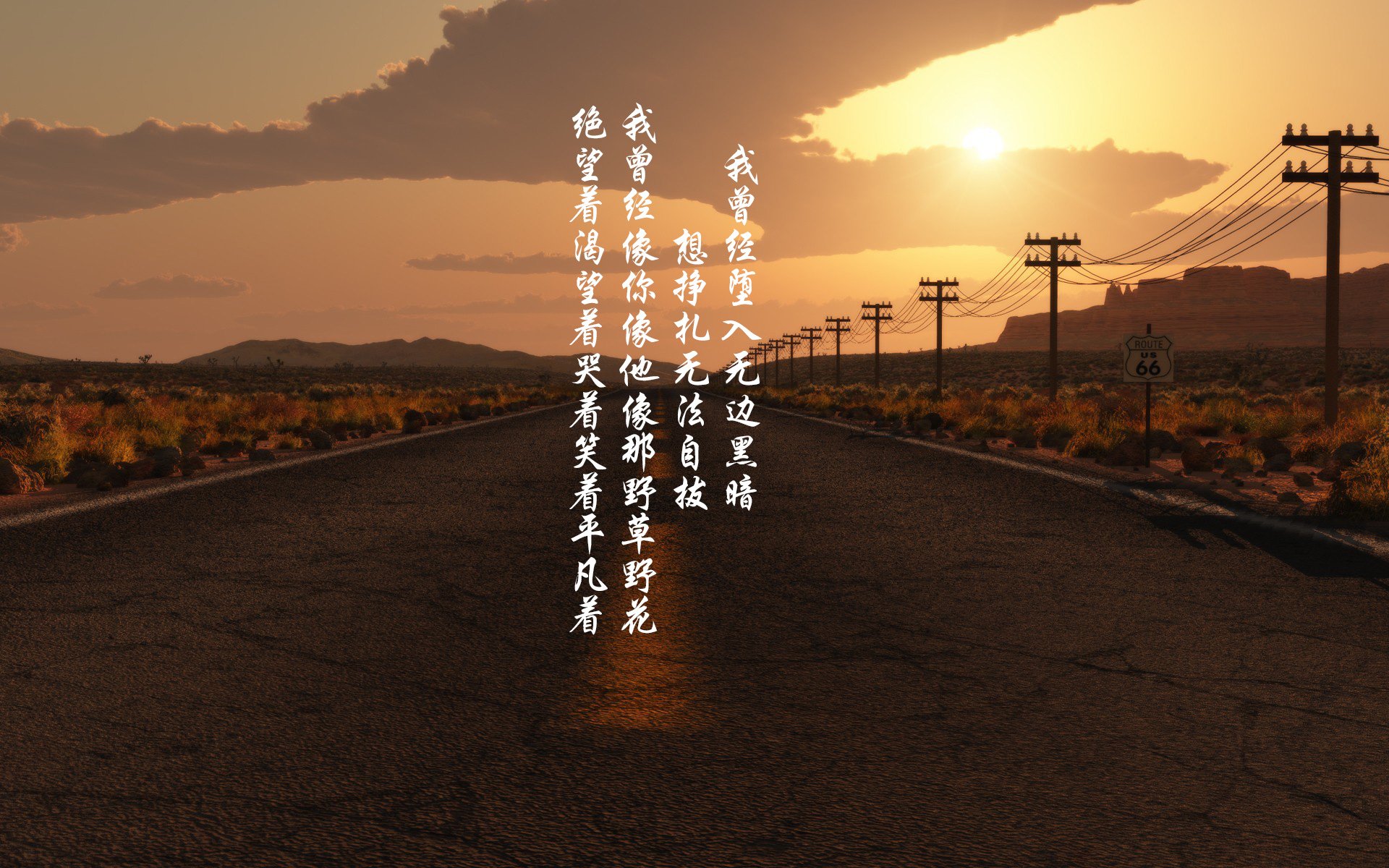 王者归来!美洲杯女足比赛,巴西决赛胜者问鼎,美洲杯决赛巴西队