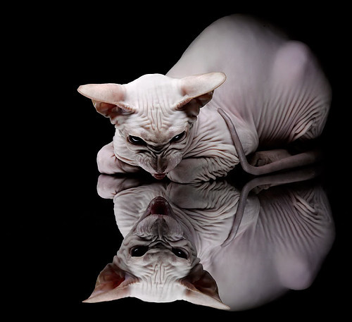 球员在比赛中展现出了顽强的战斗精神,球员们在赛场上展现