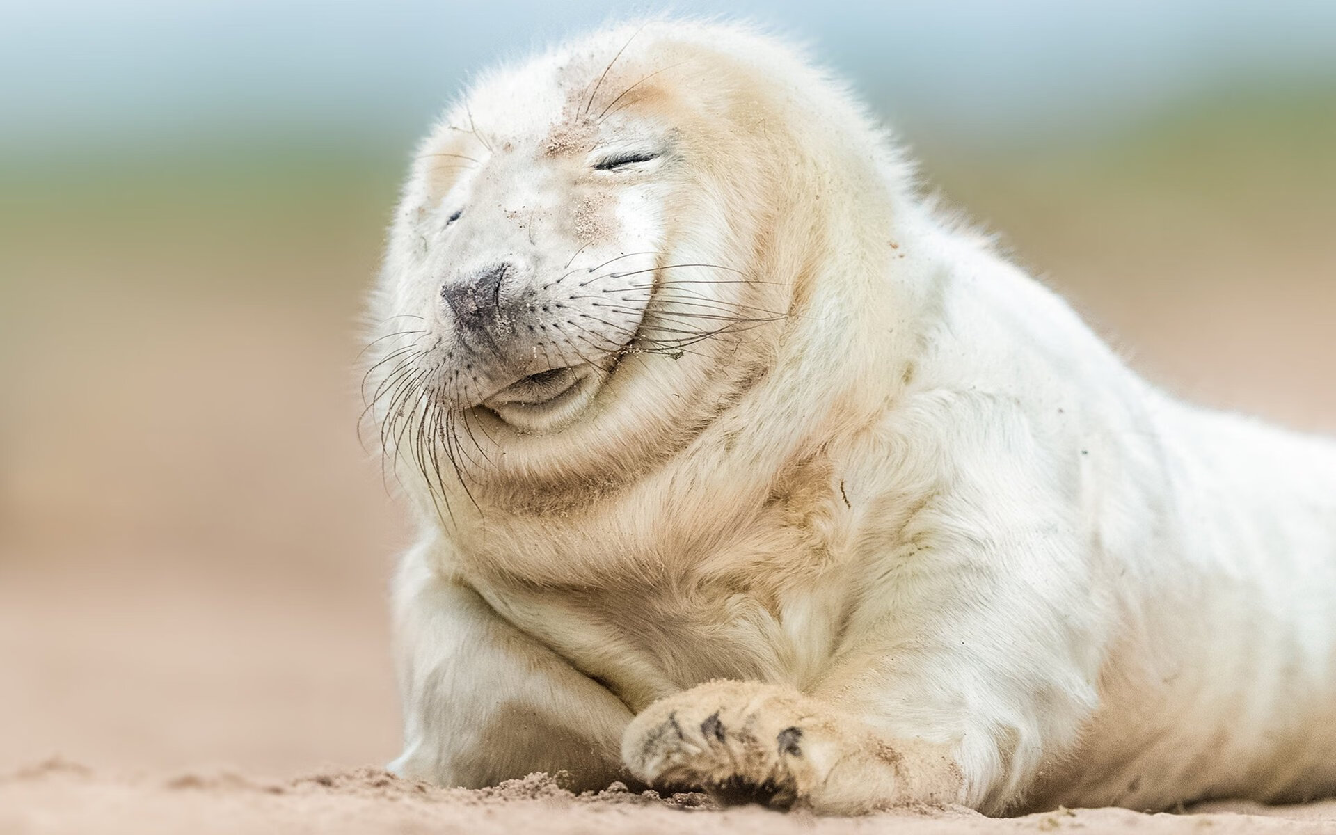 九游app官网下载-石油人季后赛冲击力十足，石油达人