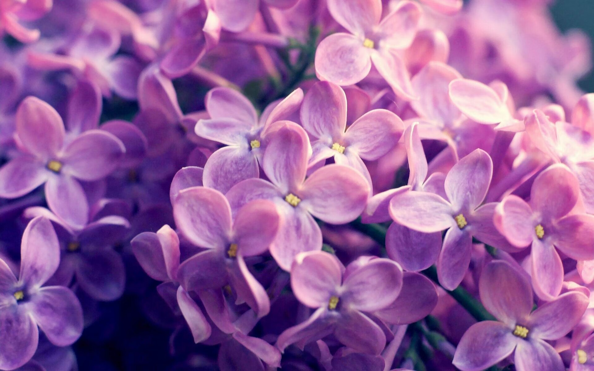 美国女足在巴黎奥运会比赛中以3-2战胜德国,奥运美国女足比赛结果