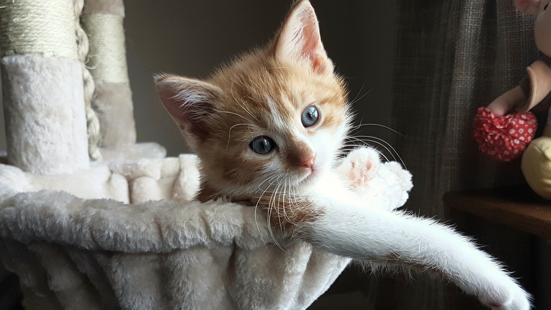 莱加内斯主场告捷,积分继续攀升,莱加内斯足球俱乐部