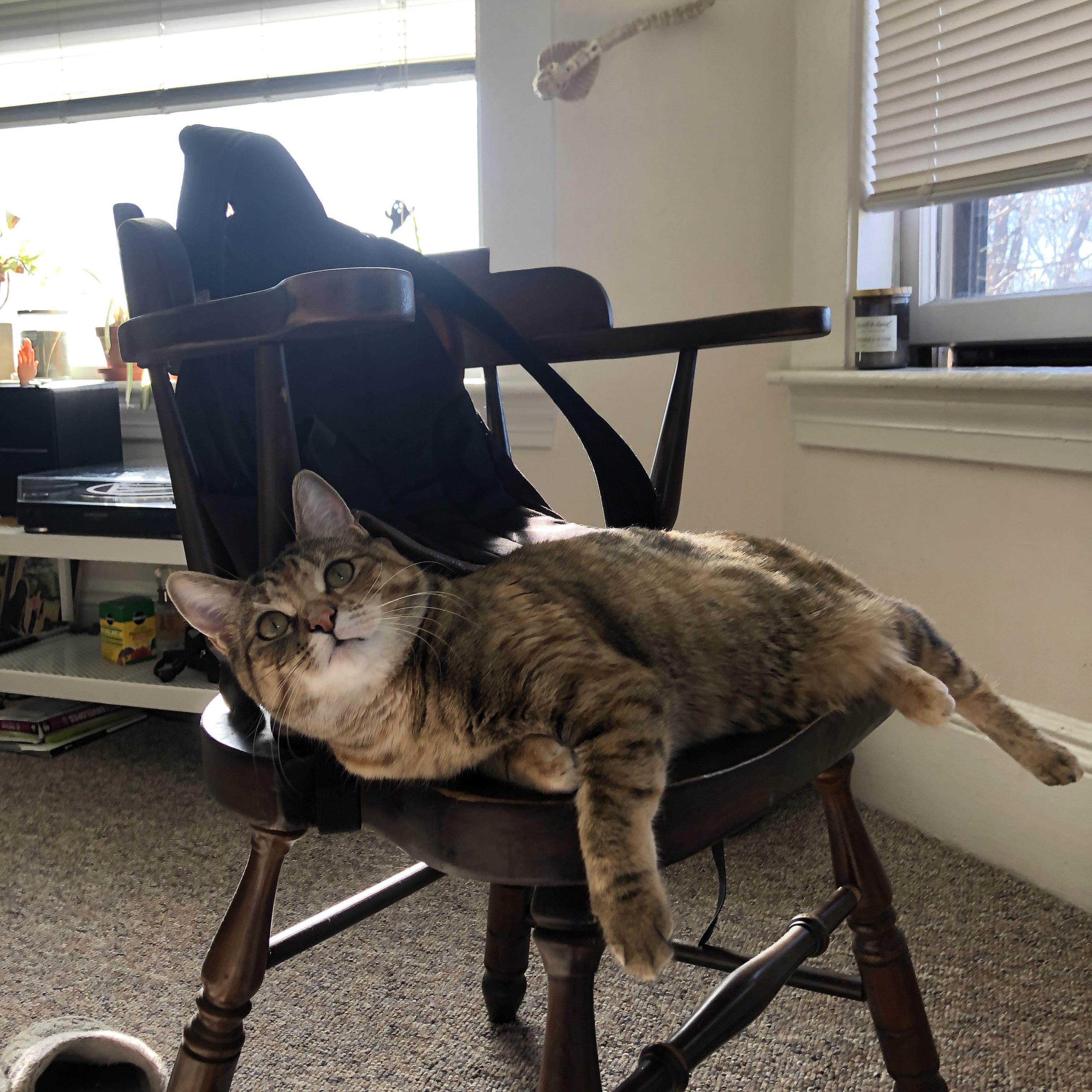 九游游戏中心官网-赫塔福德联赢得英格兰联赛杯比赛，德甲赫塔对多特