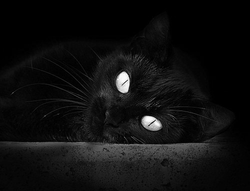 马德里竞技球员受伤,或将缺席下一场比赛,马德里竞技 球员