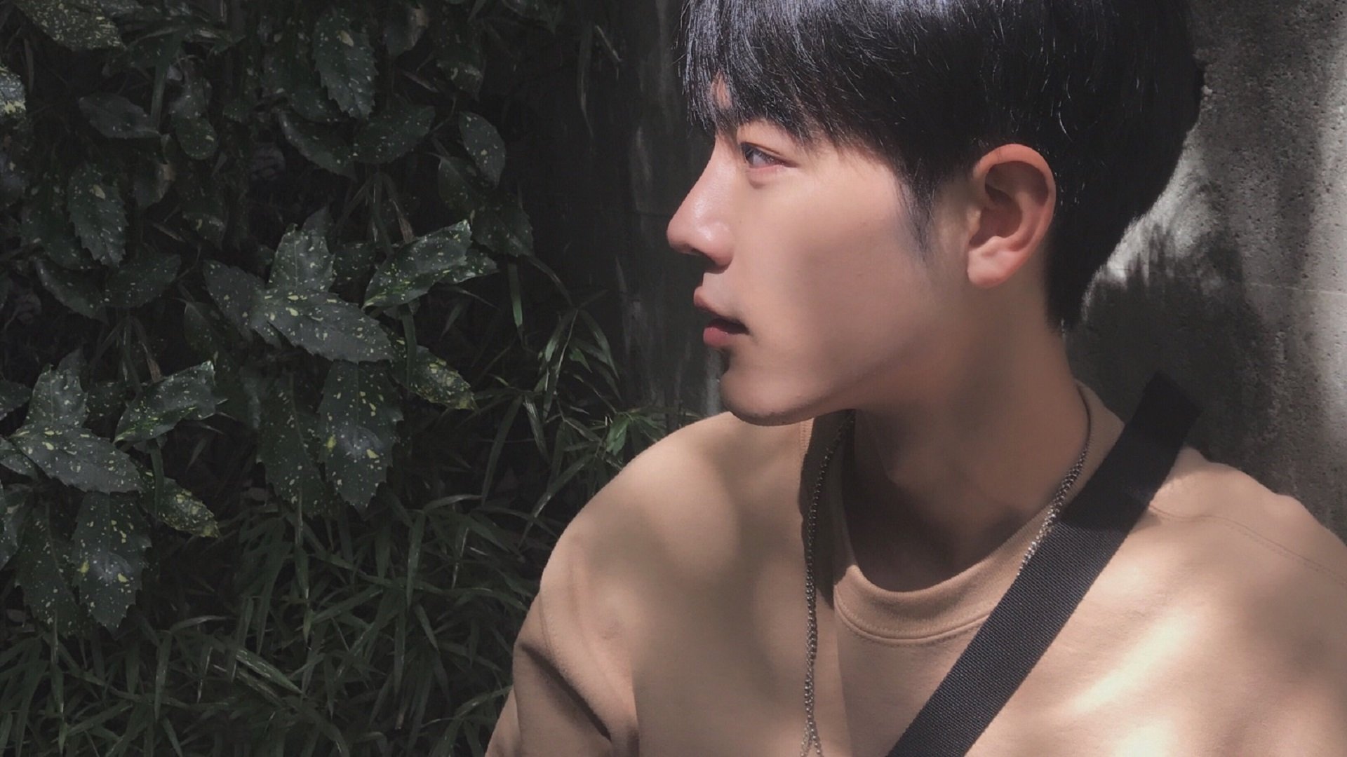 中小学体育资源共享平台运行机制与监管方案,中小学体育文件