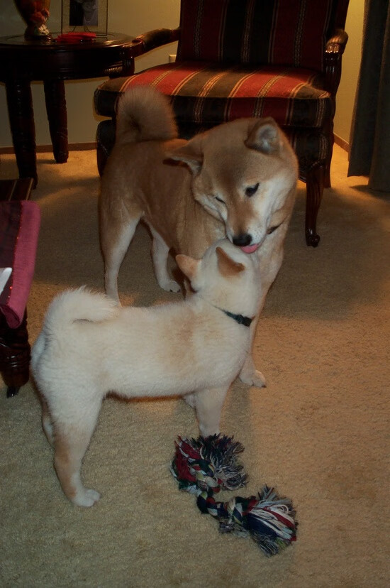 城市体育服务均等化水平测评与对策建议,体育城市化建设