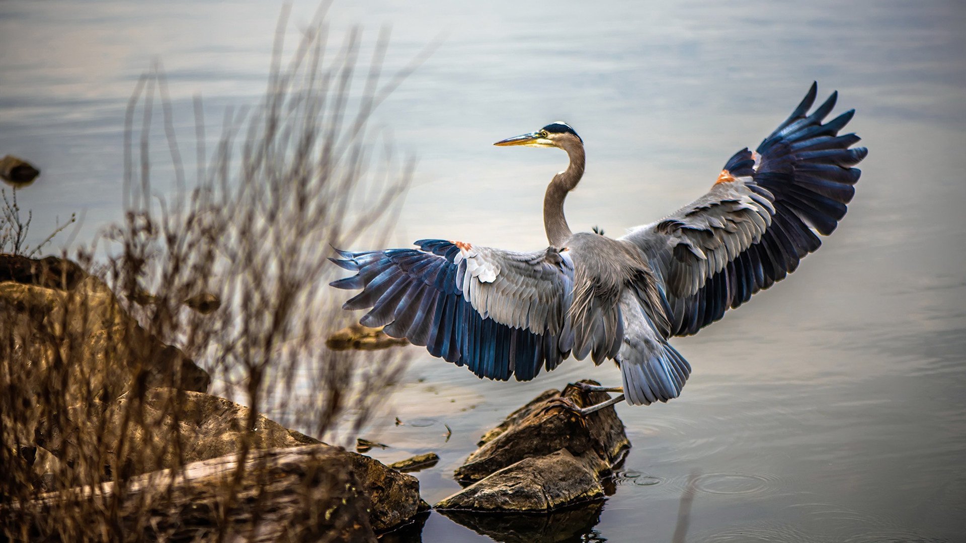 老年人健身项目适配性研究，老年人健身项目适配性研究方案