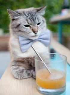 中国三人男篮加速培养替补阵容 增强板凳深度,中国男篮三人组