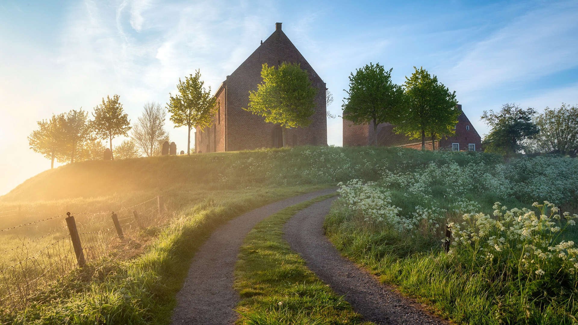 中国女篮打造多元战术体系提升应变能力,中国女篮咋样