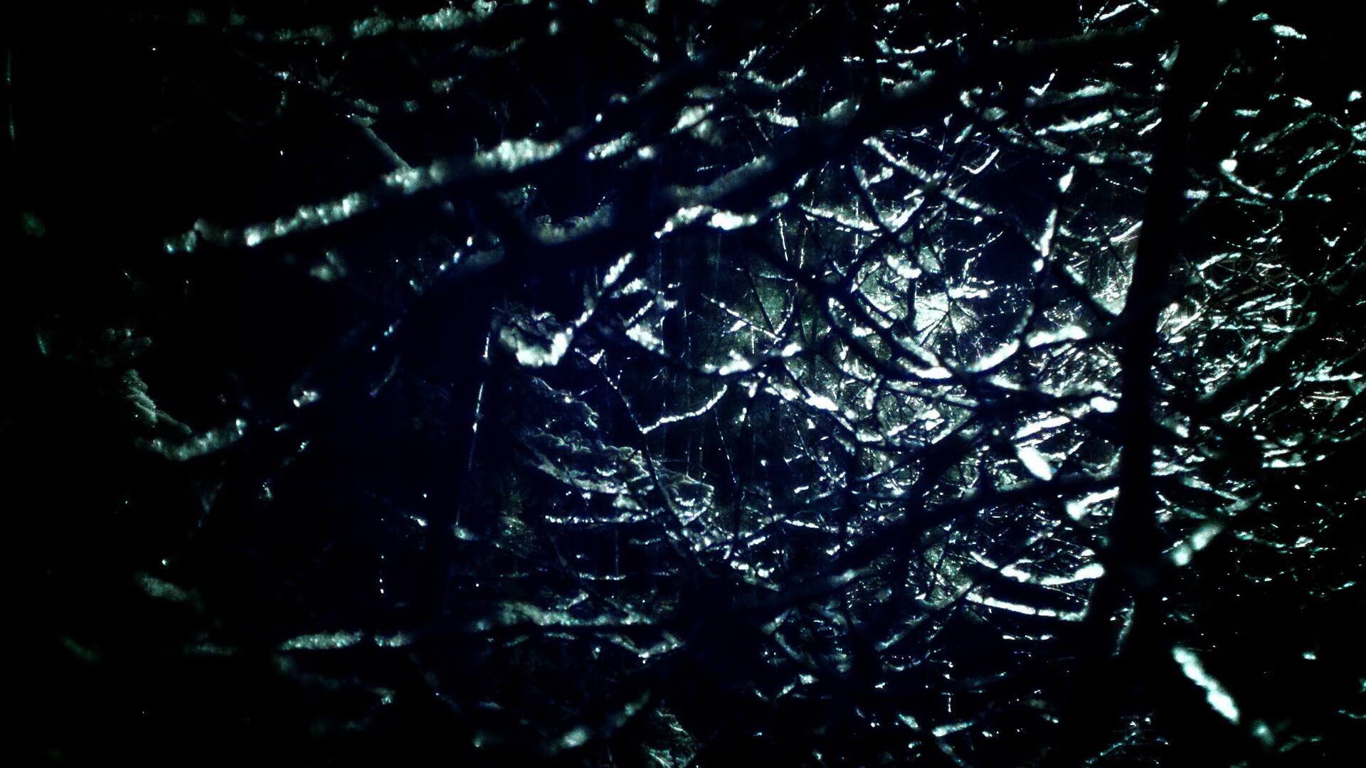 澳大利亚团队赛制解析:探索适应国际乒乓大赛的战略,澳大利亚乒乓男团