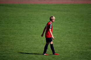 九游娱乐APP-勇士训练时长延长球员投入度高，勇士训练短袖