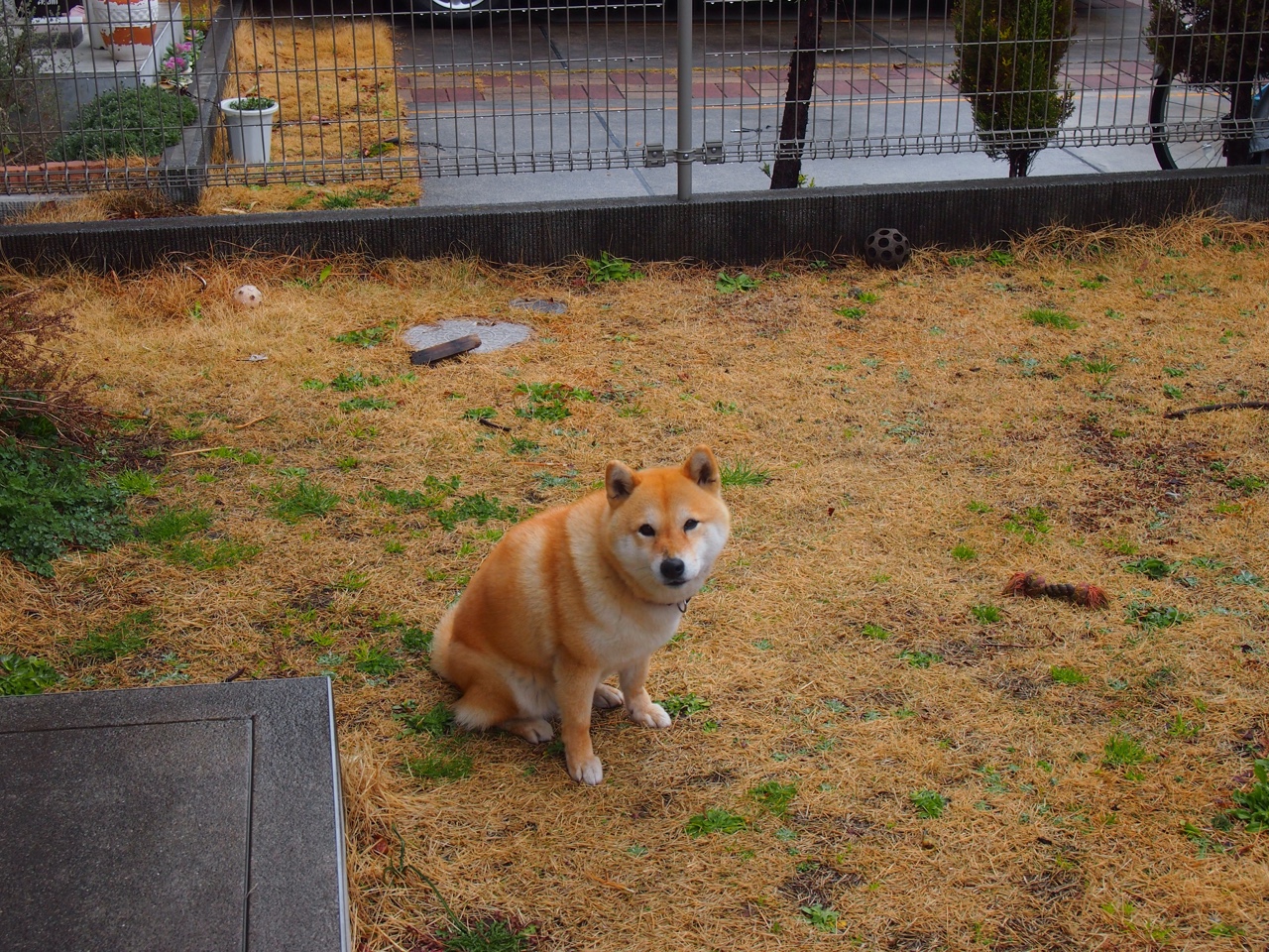 国家队主教练召开发布会回应备战情况与球员伤情进展，国家队主教练名单