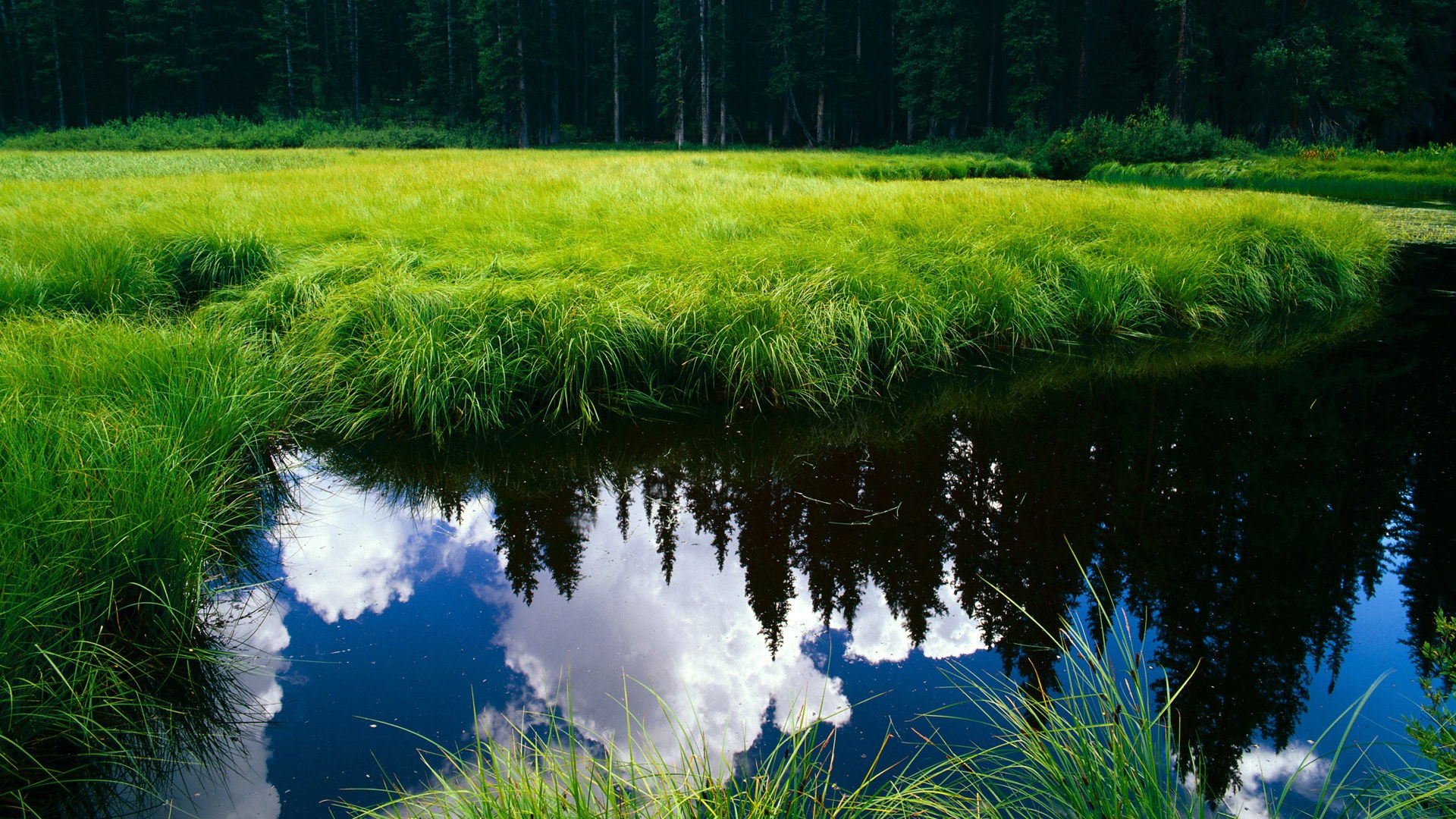 九游网页版官网入口-球员交流赛带动文化旅游，赛地经济见增长，球赛人员