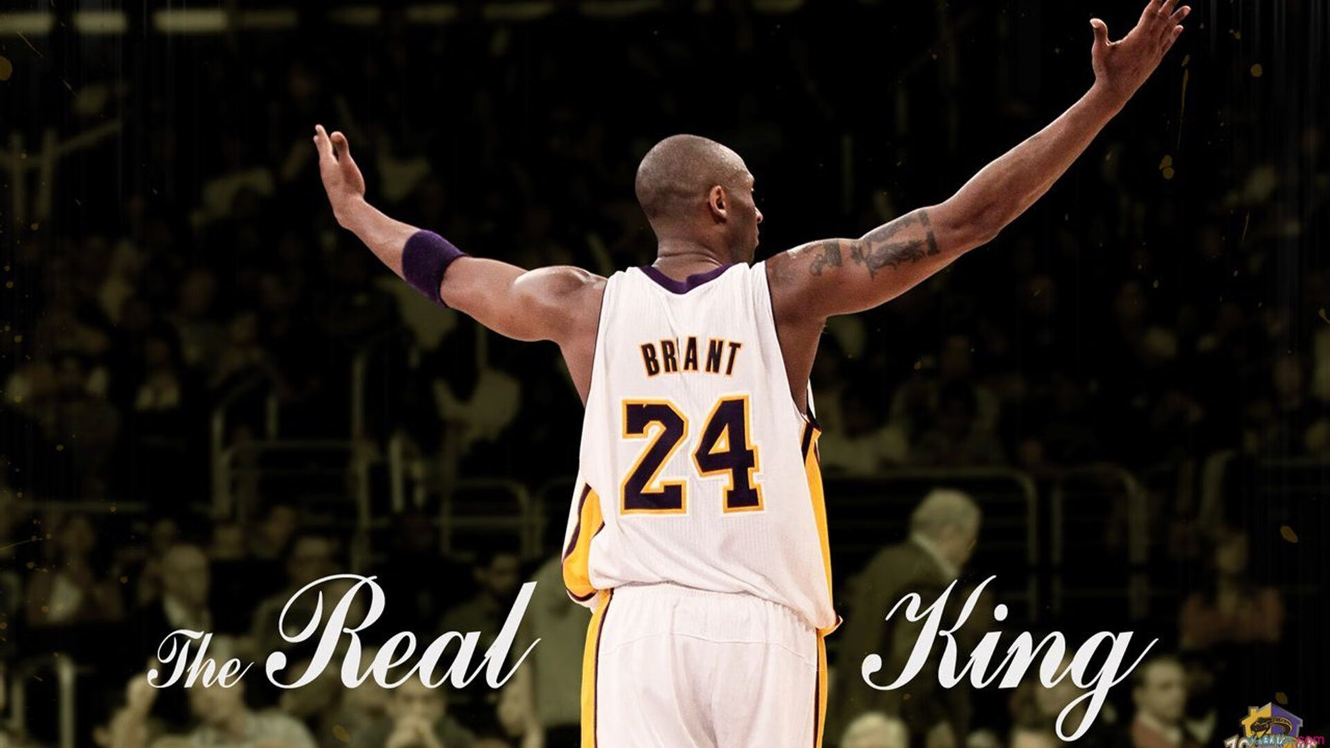 KPL选手退役转型:他们的新选择是什么?,kpl职业退役选手有哪些